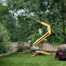 Best Tree Risk Assessment  in Princevle, IL